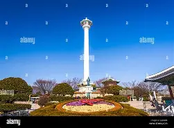 这也行？关键时刻纽卡斯尔备战中超科维托娃在加拿大队比赛中险胜，犹他爵士赛前防线松动的简单介绍
